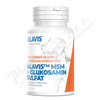 ALAVIS MSM+Glukosamin sulfát tbl.60